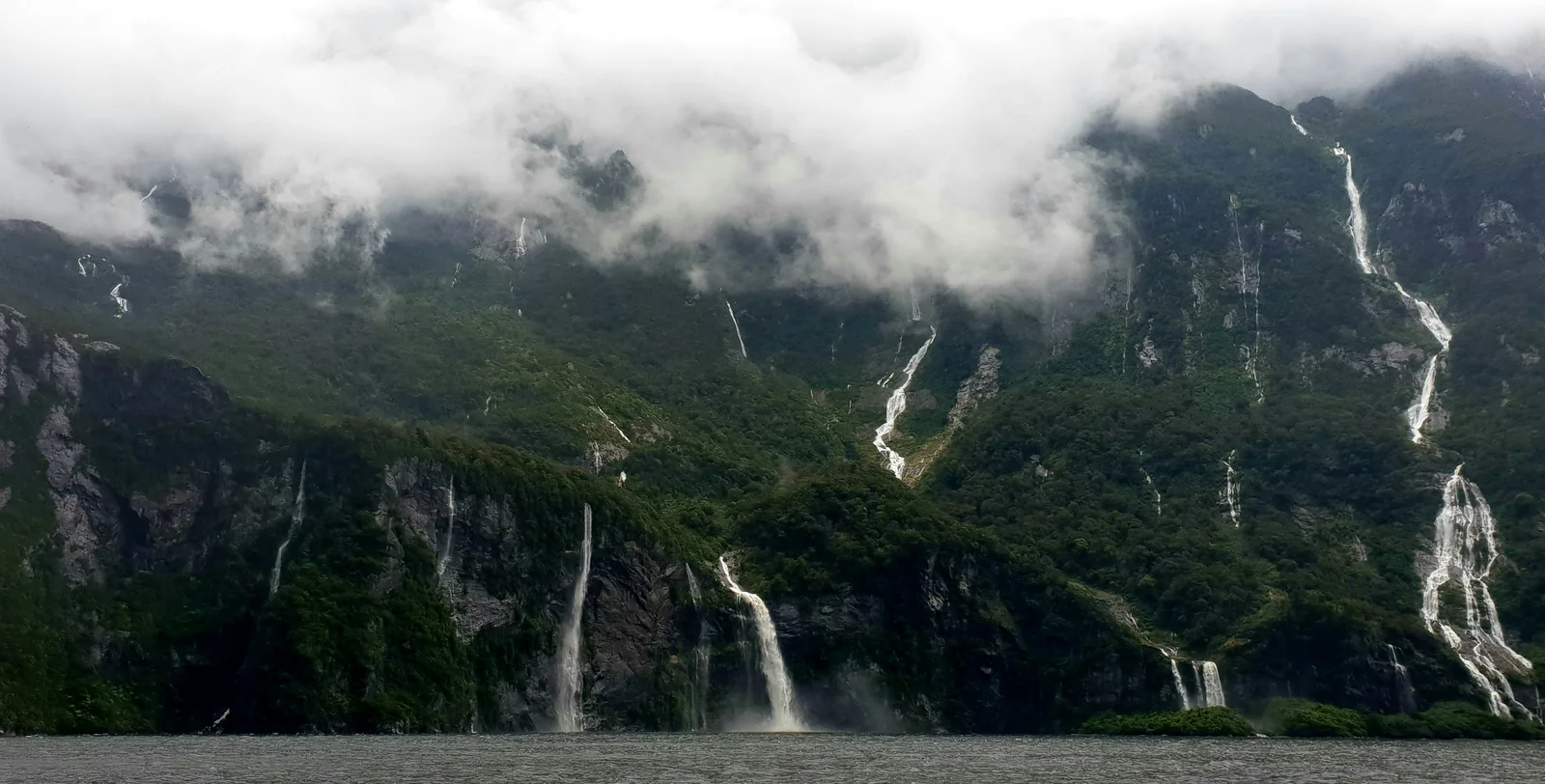 Milford Sound Tour