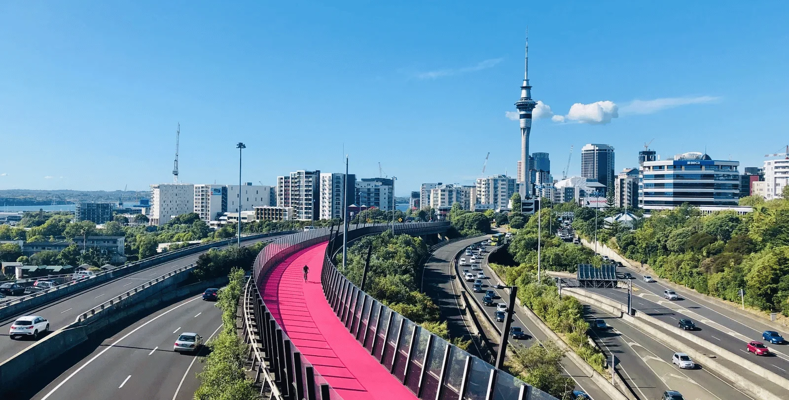 North Island Tour