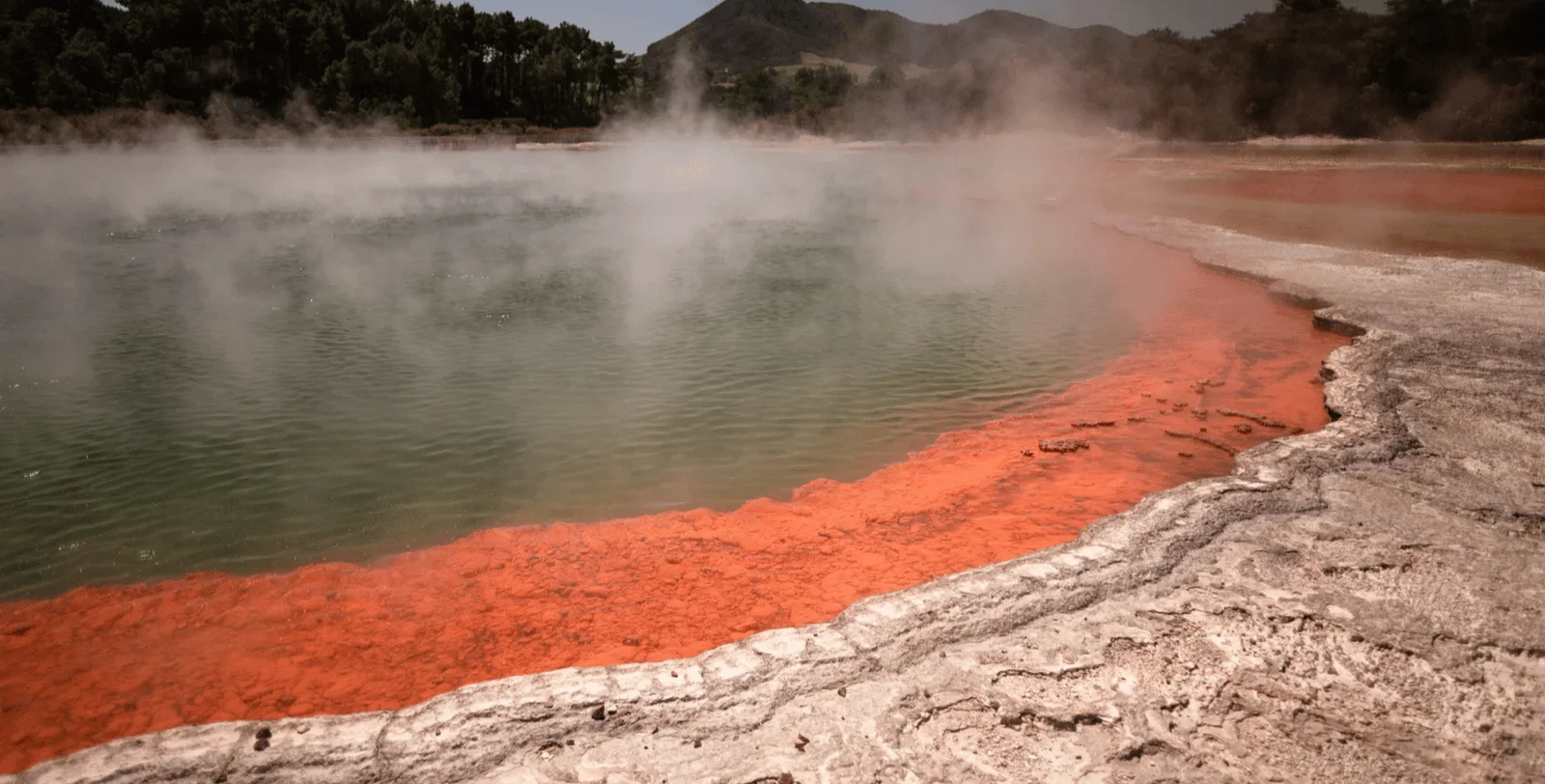 Rotorua Geyser Tour