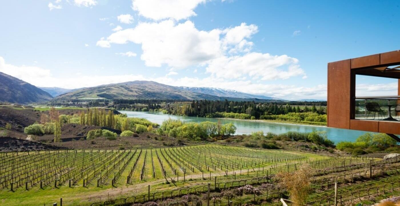 Central Otago Wine Tour